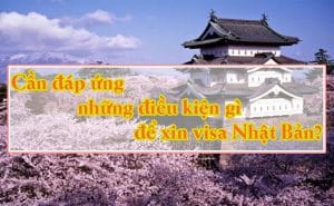 Can dap ung nhung dieu kien gi de xin visa Nhat Ban 1
