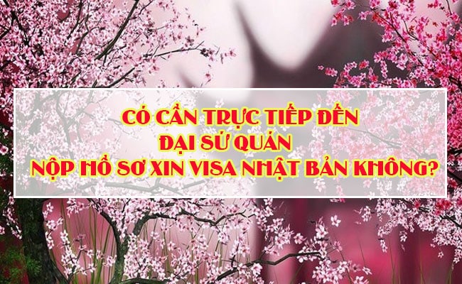 Co can truc tiep den DSQ nop ho so xin visa Nhat Ban khong 1