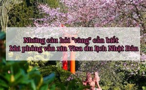 Phong van xin visa du lich Nhat Ban