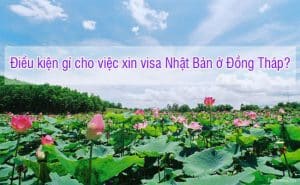 Visa Nhat Ban o Dong Thap