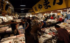 cho ca Tsukiji Nhat Ban 1