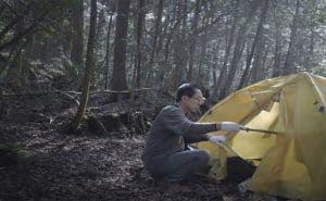 Aokigahara khu rừng tu sat o Nhat Ban 4