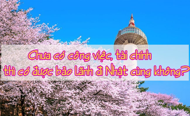 Chua co cong viec tai chinh thi co duoc bao lanh di Nhat cung khong 2