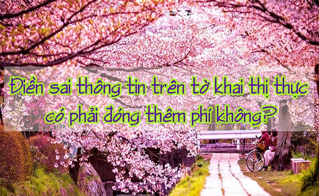 Dien sai thong tin tren to khai thi thuc co phai dong them phi khong 2
