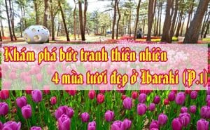 4 mua tuoi dep o Ibaraki