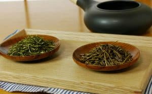 Cac loai tra nguoi Nhat Ban ua dung 5
