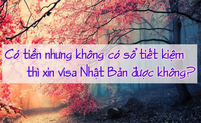 Co tien nhung khong co so tiet kiem thi xin visa Nhat Ban duoc khong 2