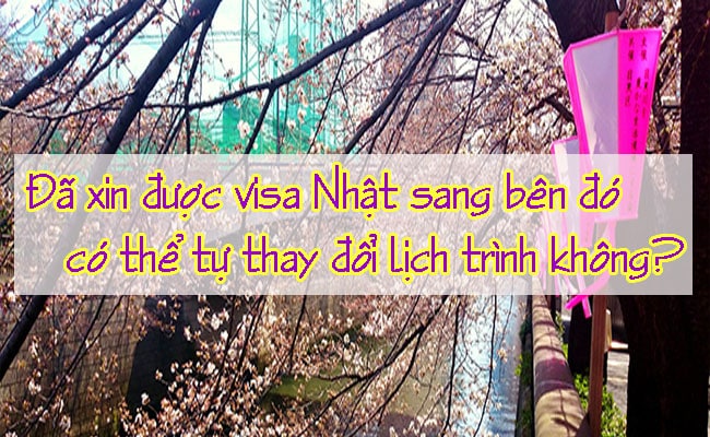 Da xin duoc visa Nhat sang ben do co the tu thay doi lich trinh khong 2
