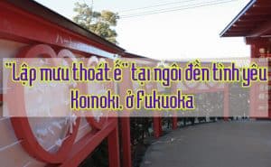 Ngoi den tinh yeu Koinoki