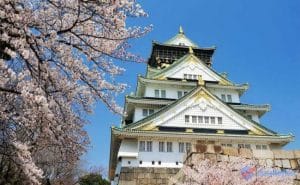 Nhung diem kham pha tuyet voi ngoai Tokyo 14