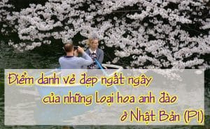 Nhung loai hoa anh dao o Nhat Ban