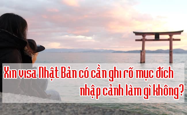 Xin visa Nhat Ban co can ghi ro muc dich nhap canh lam gi khong 1