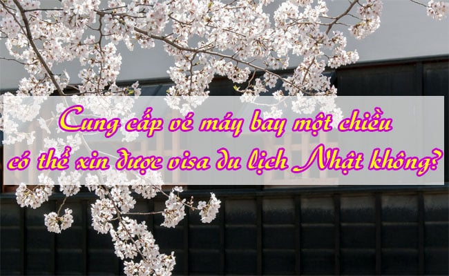 Cung cap ve may bay mot chieu co the xin duoc visa du lich Nhat khong 1