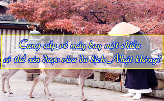 Cung cap ve may bay mot chieu co the xin duoc visa du lich Nhat khong 2