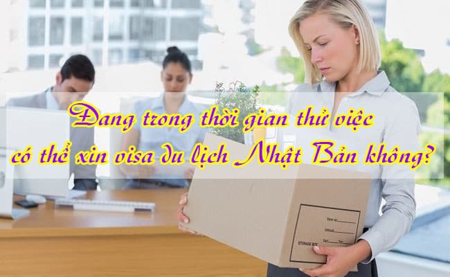 Dang trong thoi gian thu viec co the xin visa du lich Nhat Ban khong 1