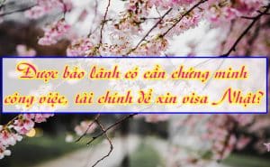 Duoc bao lanh co can chung minh cong viec tai chinh de xin visa Nhat 1