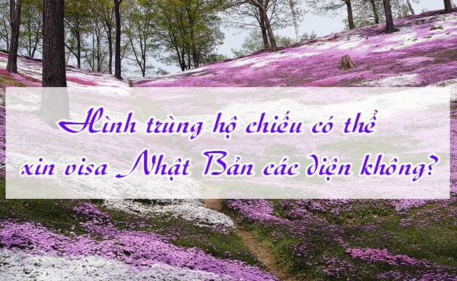 Hinh trung ho chieu co the xin visa Nhat Ban cac dien khong 2