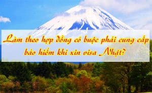 Lam theo hop dong co buoc phai cung cap bao hiem khi xin visa Nhat 2