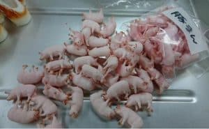 Mon an day kinh di cua Nhat Ban 2