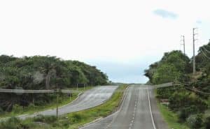 Nhat Ban co loi di cho ca rua 9