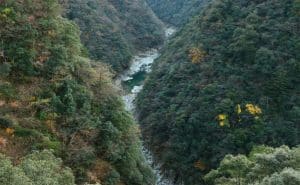 Shikoku 19