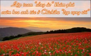 Vuon hoa anh tuc o Chichibu