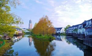 thi tran hoa tulip Huis Ten Bosch 12