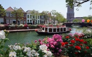 thi tran hoa tulip Huis Ten Bosch 15