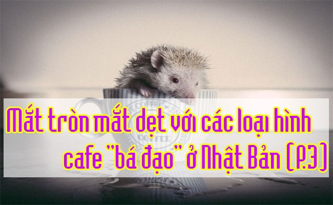 Cac-loai-hinh-cafe-ba-dao-o-Nhat-Ban-19
