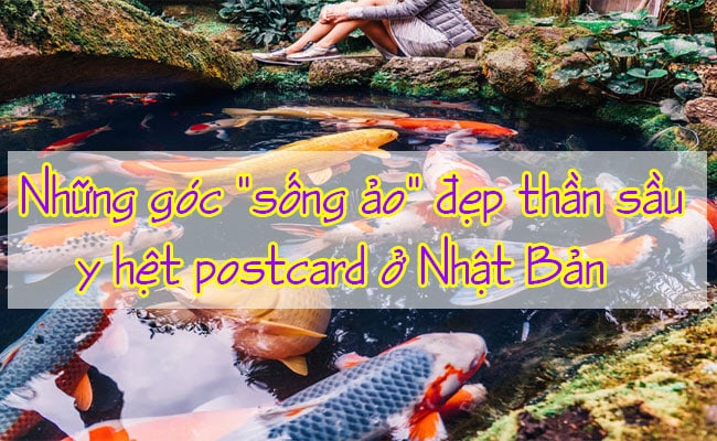Nhung-goc-song-ao-dep-than-sau-y-het-postcard-o-Nhat-Ban