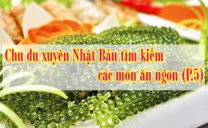 Xuyen-Nhat-Ban-tim-kiem-cac-mon-an-ngon-47