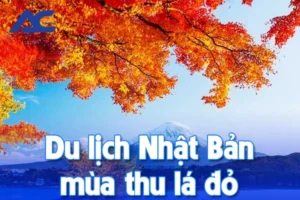Du lịch Nhật Bản mùa lá đỏ